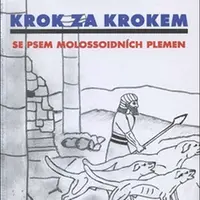 Krok za krokem - Maťka Tóthová