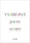 V každé chvíli jste mi vzorem - Jiří Halda