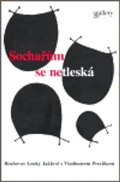 Sochařům se netleská - Vladimír Preclík, Lenka Jaklová