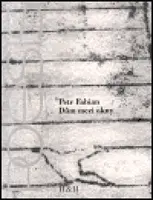 Dům mezi okny - Petr Fabián