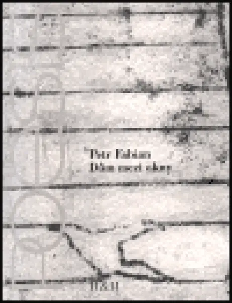 Dům mezi okny - Petr Fabián