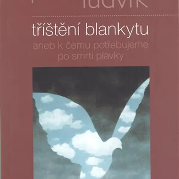 Tříštění blankytu - Pavel Ludvík