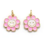 Brass Enamel Charms