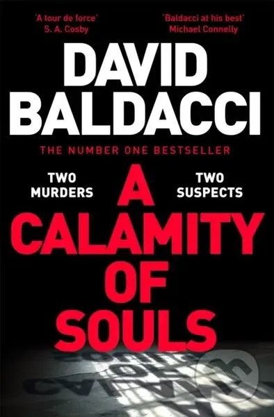 A Calamity of Souls - Baldacci David