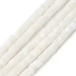 Natural Freshwater Shell Beads Strands