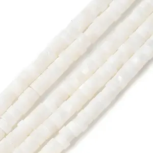 Natural Freshwater Shell Beads Strands