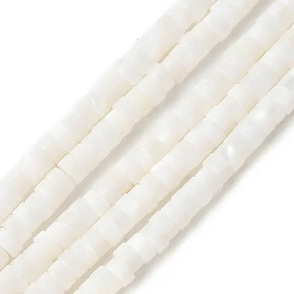 Natural Freshwater Shell Beads Strands