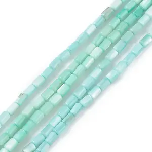 Natural Freshwater Shell Dyed Beads Strands