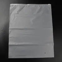 Transparent PE Jewelry Zip Lock Storage Bags