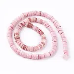 Natural Shell Beads Strands
