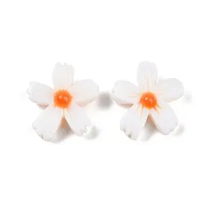 Natural Freshwater Shell Beads Strands