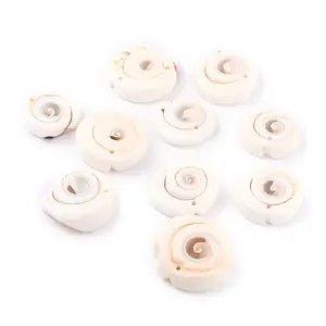 Natural Spiral Shell Pendants