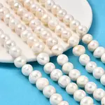 Natural Cultured Freshwater Pearl Beads Strands