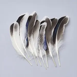 Feather Costume Accessories