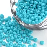 Baking Paint 8/0 Glass Seed Beads