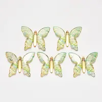 Transparent Acrylic Pendants