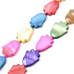 Natural Freshwater Shell Beads Strands