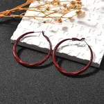 Alloy & 925 Sterling Silver Hoop Earrings