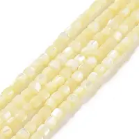 Natural Trochus Shell Beads Strands