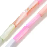 Rainbow Color Dyed Natural Freshwater Shell Beads Strands