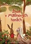 Život v Malinových horách - Csilla Dózsa (ilustrátor), Lukáš Cabala - kniha z kategorie Beletrie pro děti