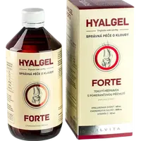 SILVITA Hyalgel forte pomeranč 500 ml