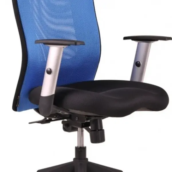 OFFICE PRO Ergonomická kancelářská židle CALYPSO GRAND modrá