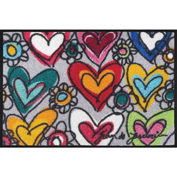 wash+dry DVEŘNÍ ROHOŽKA, 40/60 cm,