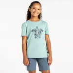 Dětské bavlněné tričko dare2b trailblazer ii světle modrá 110-116