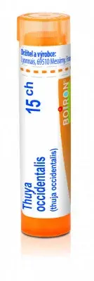 Thuya Occidentalis 15CH gra.4g