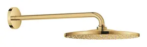 Grohe Rainshower Mono - Hlavová sprcha, průměr 31 cm, Cool Sunrise 26558GL0