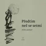Předtím než se setmí - Petr Ligocký