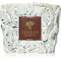 Baobab Collection Brame Sylvanus vonná sviečka 500 g