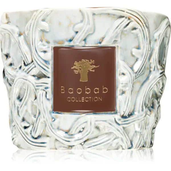 Baobab Collection Brame Sylvanus vonná sviečka 500 g