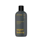 Attitude Přírodní pánský šampon a tělové mýdlo 2v1 Super Leaves (Shampoo & Body Wash) 473 ml