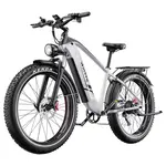 DUOTTS F26 Lite Electric Bike 500W 48V 18Ah Silver White