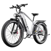 DUOTTS F26 Lite Electric Bike 500W 48V 18Ah Silver White