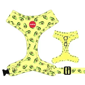 Reedog AVOCADO - S | P51913