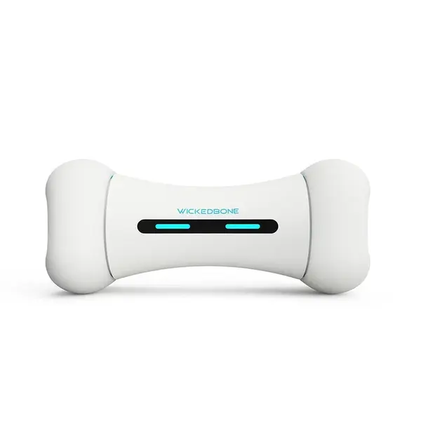 Wickedbone interaktivní kost
