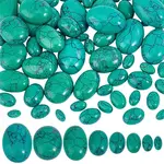 66Pcs 8 Styles Dyed Synthetic Turquoise Cabochons