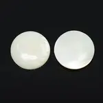 Half Round/Dome Freshwater Shell Cabochon