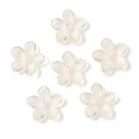 Transparent Spray Paint Glass Beads