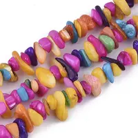 Freshwater Shell Beads Strands