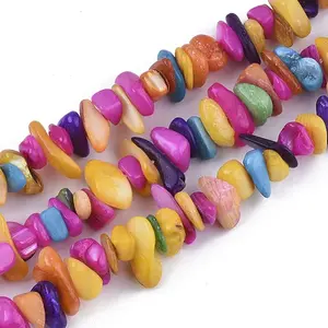 Freshwater Shell Beads Strands