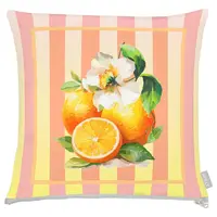 Apelt VENKOVNÍ POLŠTÁŘ 48/48 cm