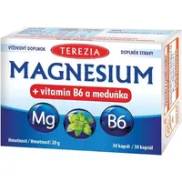 TEREZIA MAGNESIUM + VITAMÍN B6 A MEDOVKA 30 CAPS Podpora nervovej sústavy, , veľkosť