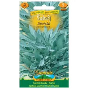 Šalvia lekárska