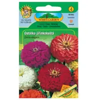 Cínia pôvabná georgínokvetá, zmes