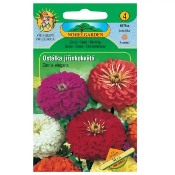 Cínia pôvabná georgínokvetá, zmes