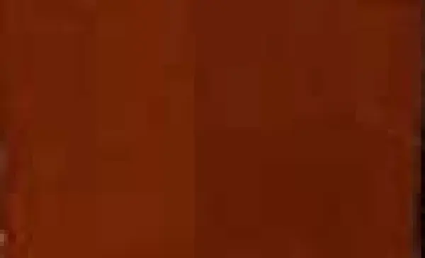 Kvašová barva DS 15ml – 07 Burnt Sienna